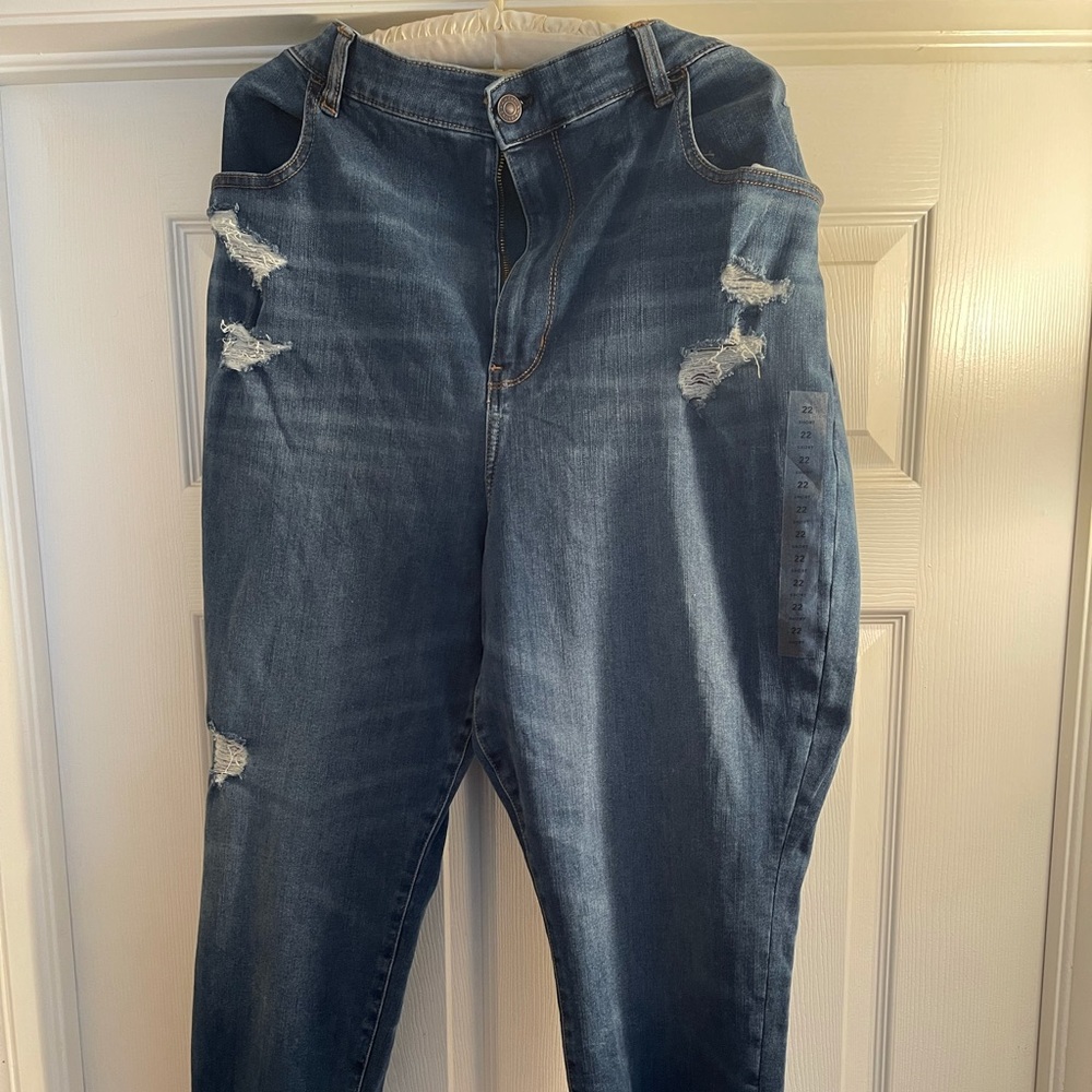 AE Plus Size 360 Next Level Highest Waist Jegging